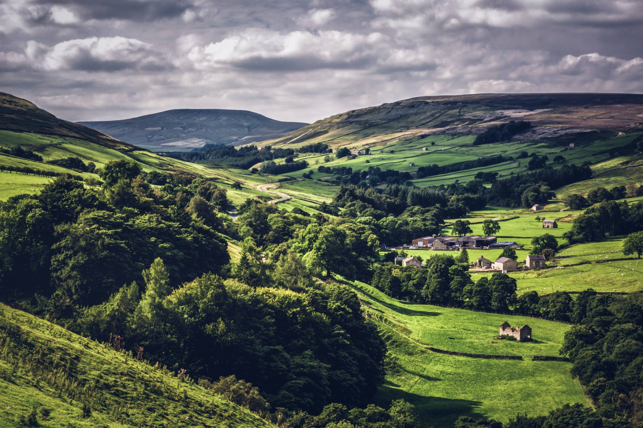 thebigword-celebrates-yorkshire-day-thebigword